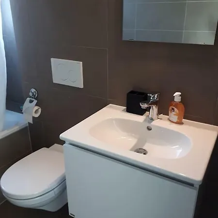 Lumineux En Attique Apartamento Cossonay